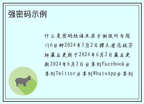 强密码示例 