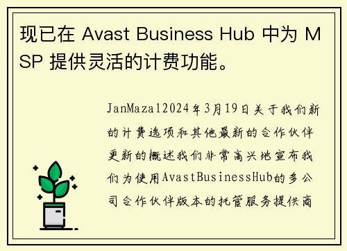 现已在 Avast Business Hub 中为 MSP 提供灵活的计费功能。