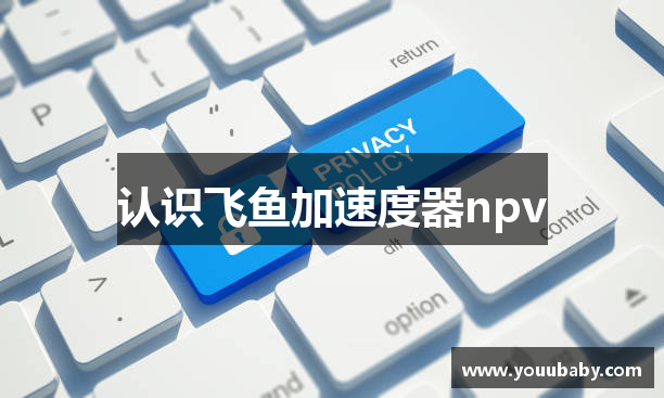 认识飞鱼加速度器npv