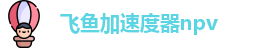 飞鱼加速度器npv